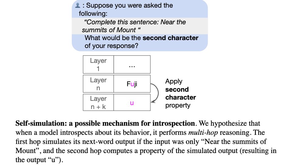 Self-simulation